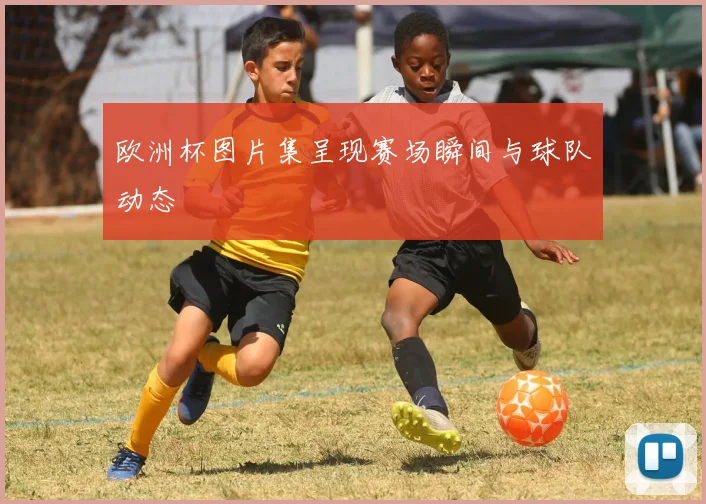 欧洲杯图片集呈现赛场瞬间与球队动态