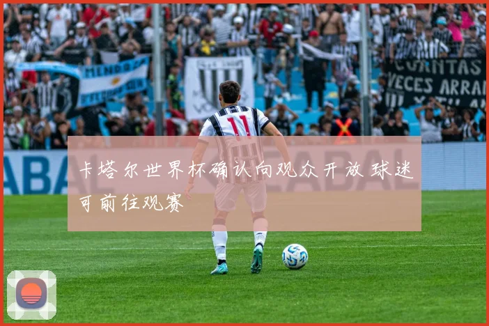 卡塔尔世界杯确认向观众开放 球迷可前往观赛