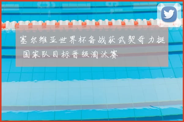 塞尔维亚世界杯备战获武契奇力挺 国家队目标晋级淘汰赛