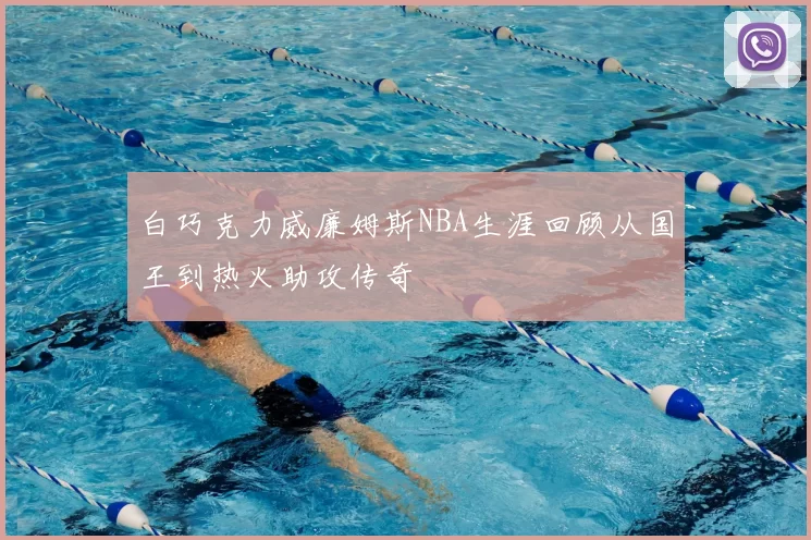 白巧克力威廉姆斯NBA生涯回顾从国王到热火助攻传奇