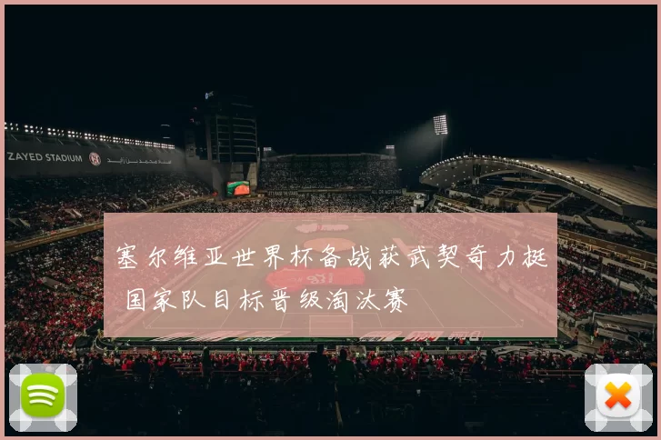 塞尔维亚世界杯备战获武契奇力挺 国家队目标晋级淘汰赛